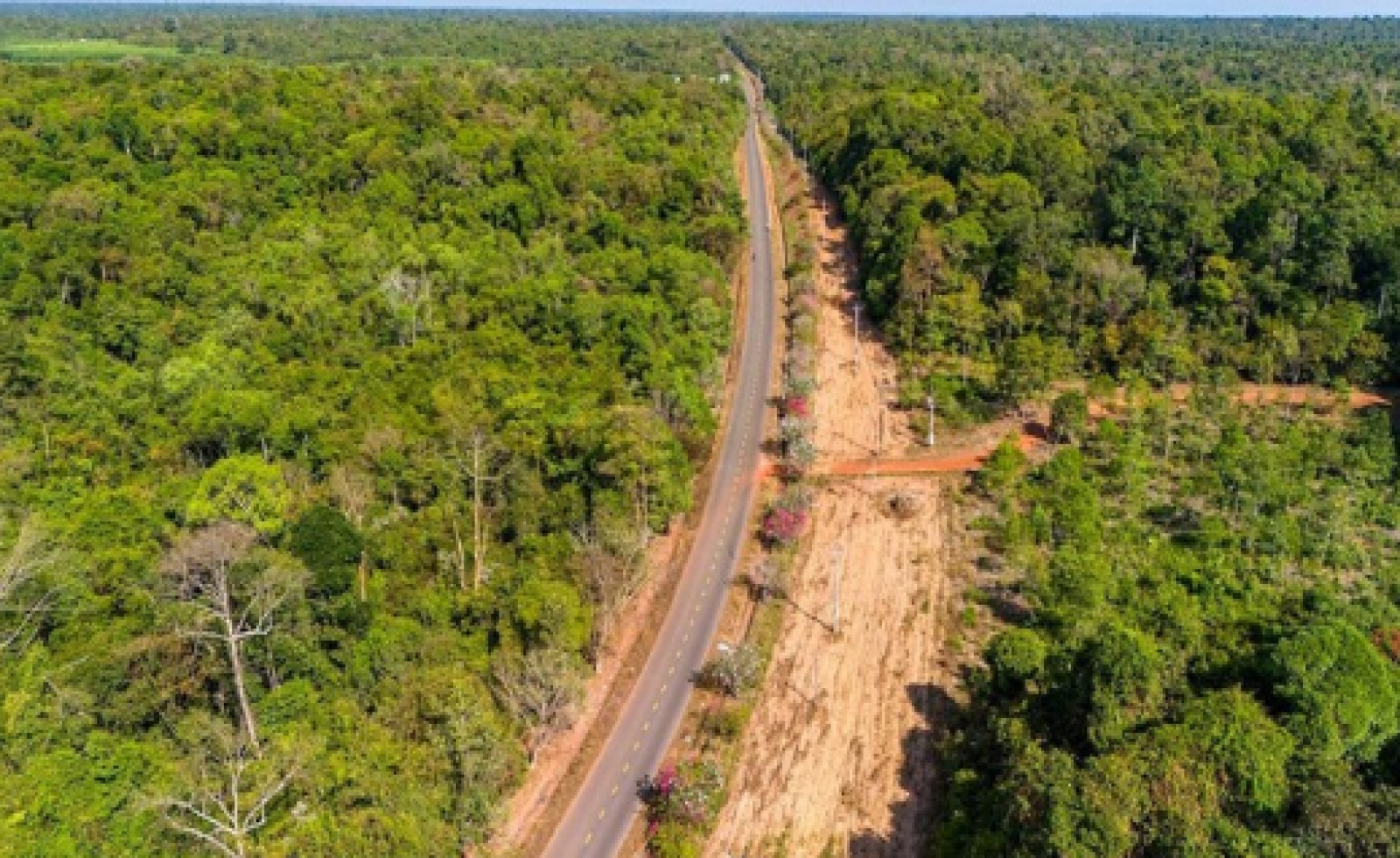 “Anh cả” siêu dự án đại lộ ven sông Hồng 855.000 tỷ đồng được chấp thuận là nhà đầu tư đề xuất tuyến đường xuyên rừng 13km tại Đồng Nai