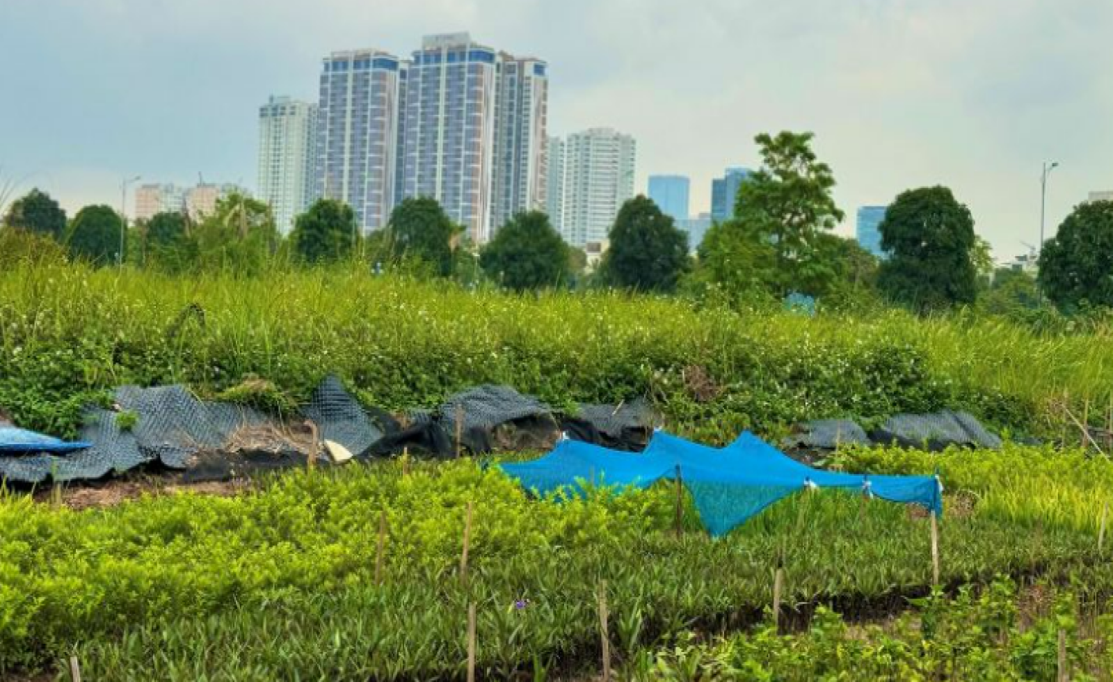 Bất động sản 2026: Loạt chính sách mới định hình chu kỳ phát triển mới