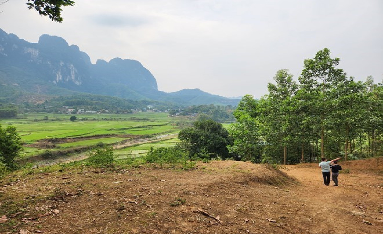 Bộ Nông nghiệp và Môi trường phản hồi kiến nghị đưa đăng ký đất đai về cấp xã