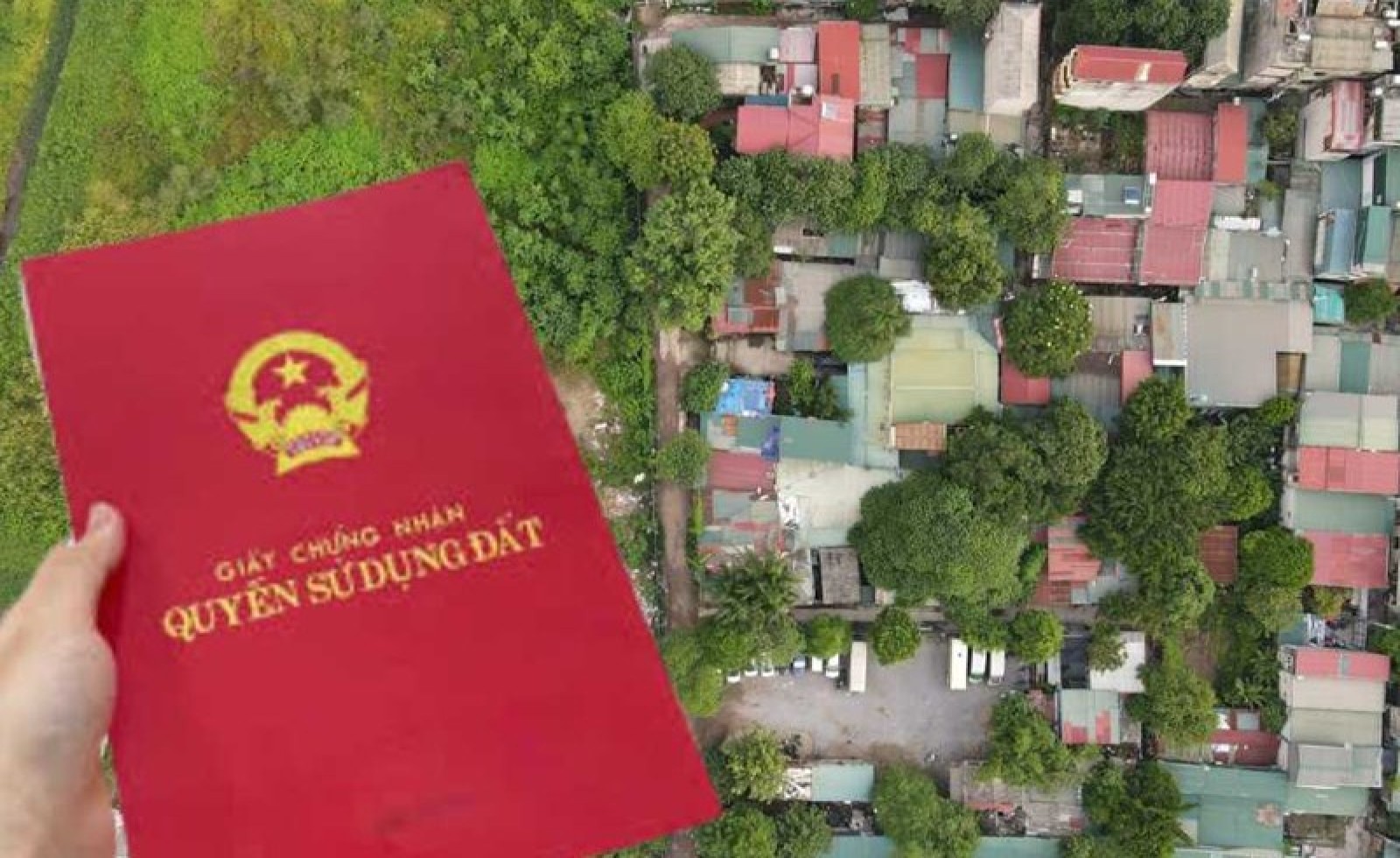 Căn cứ cấp sổ đỏ theo hiện trạng sử dụng đất thực tế