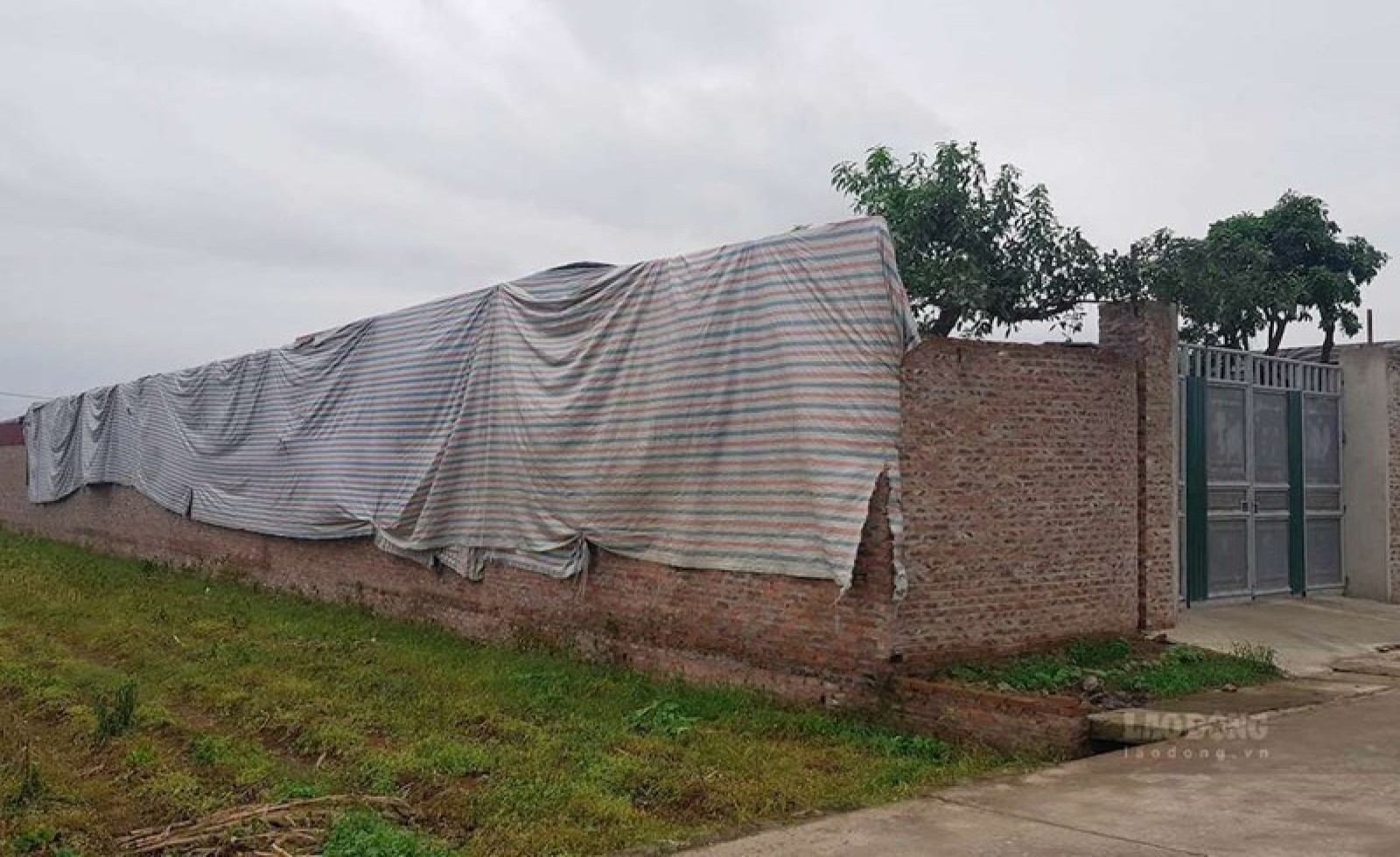 Căn cứ chuyển đất nông nghiệp sang đất ở khi quy hoạch khác nhau