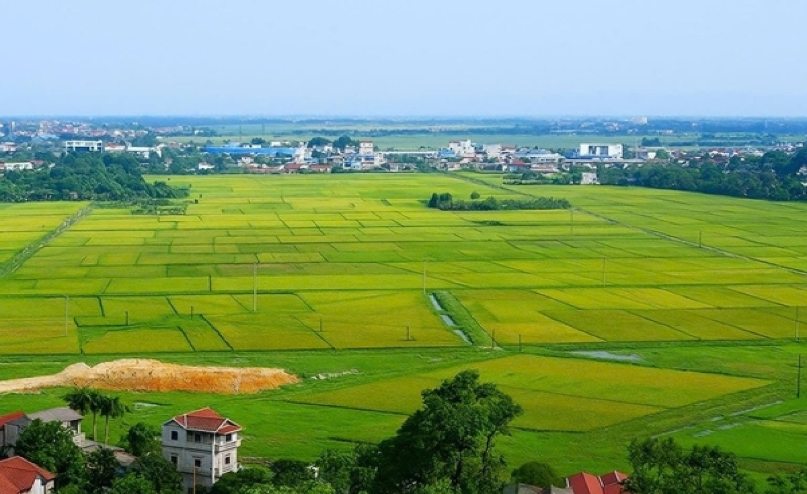 Chính phủ yêu cầu hoàn thiện dữ liệu đất đai theo các mốc trong 2026