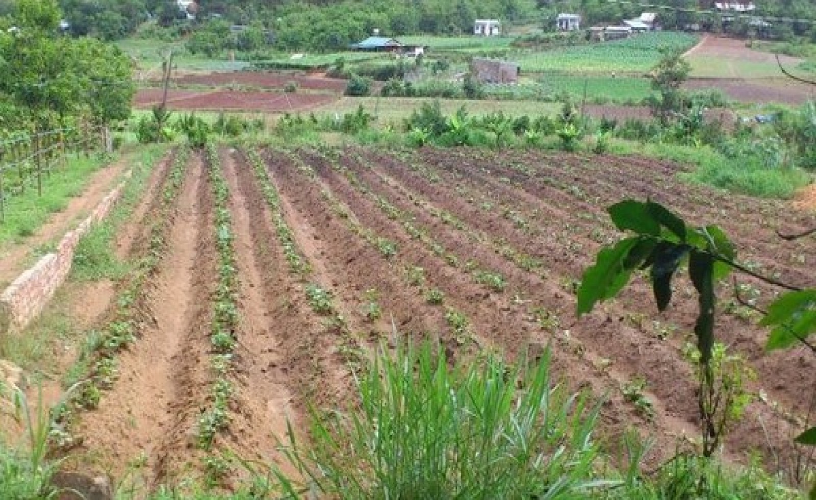 Chính sách bồi thường, tái định cư khi thu hồi đất VAC