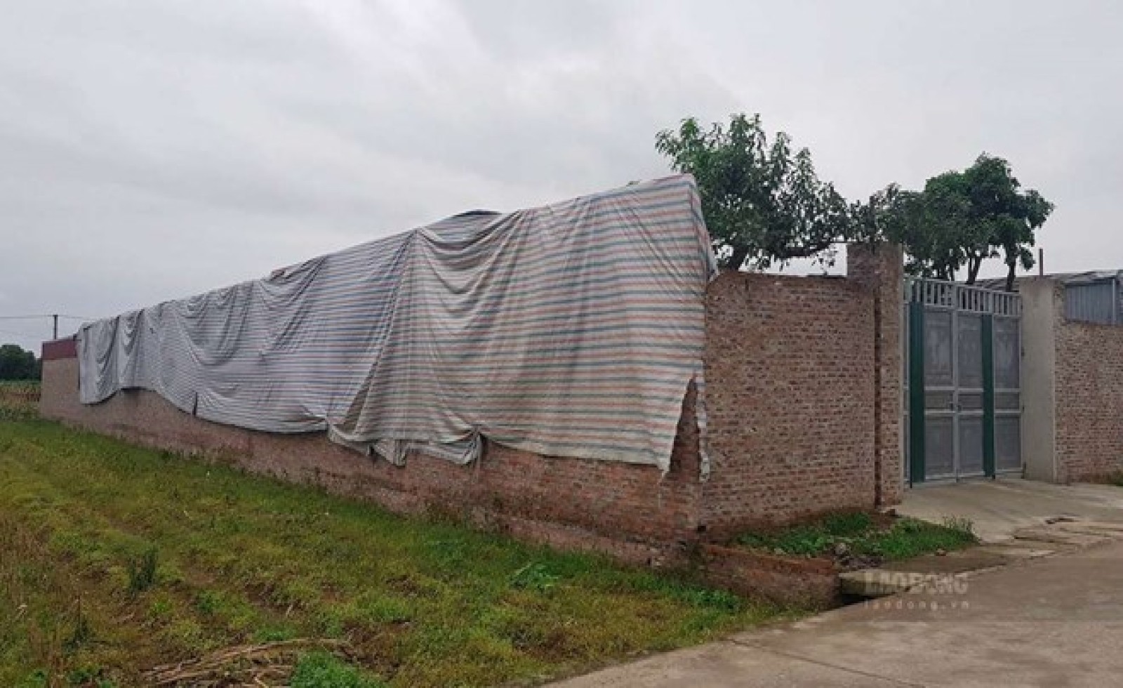 Đất nông nghiệp chuyển lên thổ cư phải đáp ứng điều kiện gì?