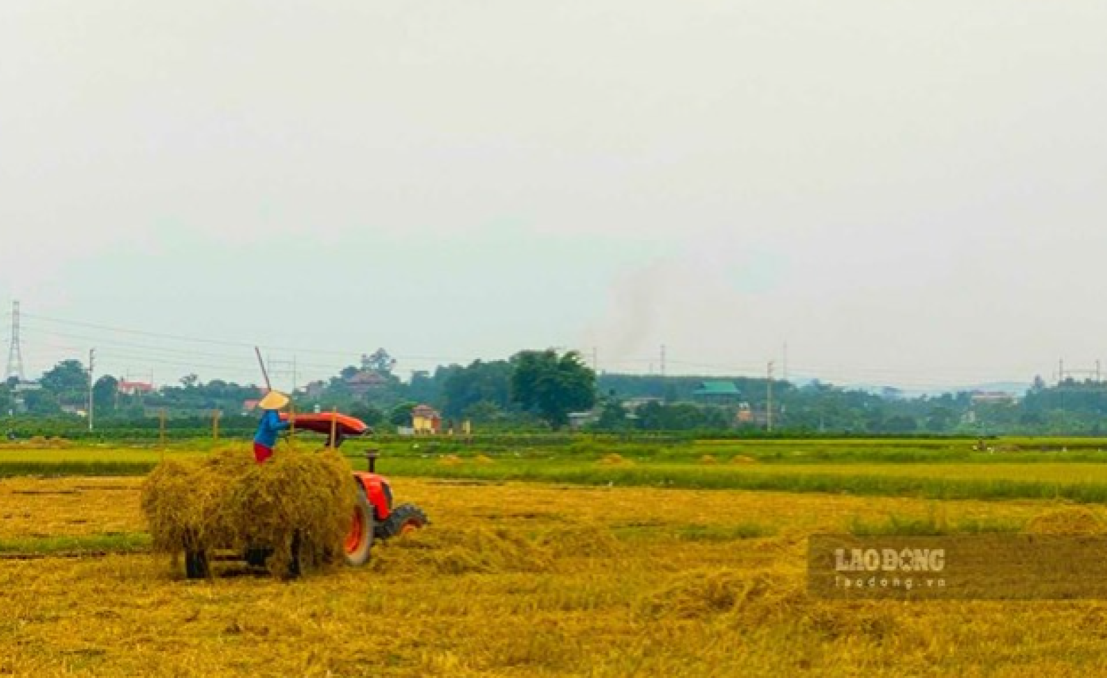 Điều kiện chuyển đất nông nghiệp sang đất thổ cư năm 2026