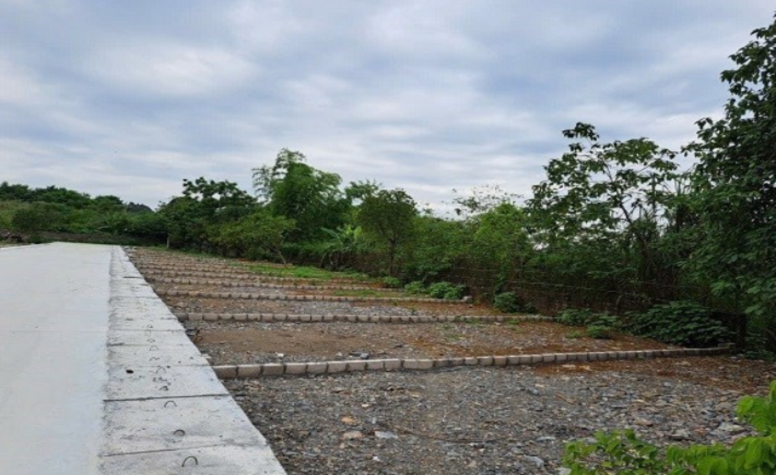 Giá đất nền tăng mạnh, được dự báo là phân khúc dẫn dắt thị trường trong năm 2026