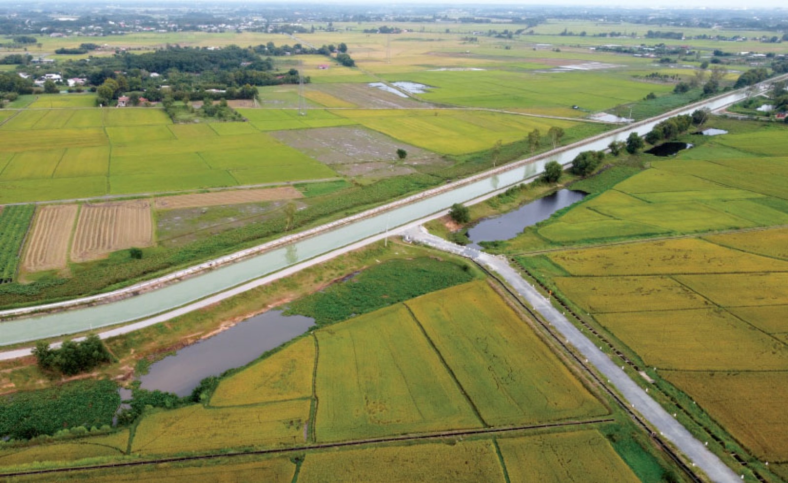 Khu liên hợp thể dục thể thao và dân cư Tân Thắng tại TPHCM có chủ đầu tư là ai?