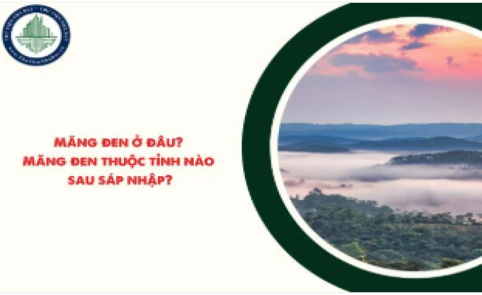 Măng đen ở đâu? Măng đen thuộc tỉnh nào sau sáp nhập?