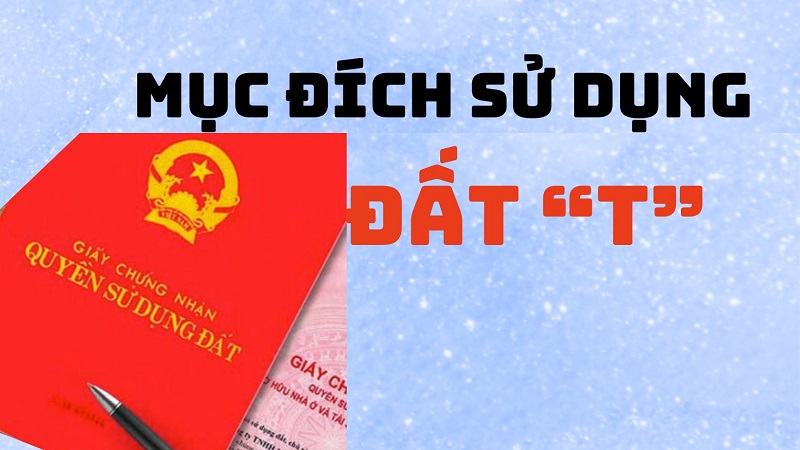 Người dân có được xác định lại diện tích đất ở ? Đất được ghi chữ T trong sổ đối với những thửa đất có nguồn gốc lịch sử lâu đời