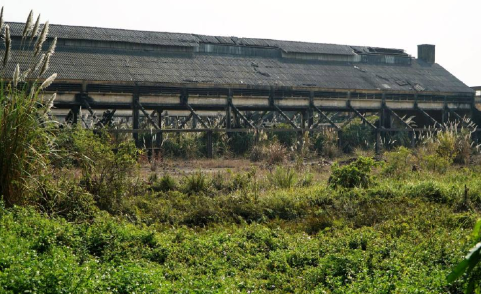 Nhà máy trên khu "đất vàng" bỏ hoang gần 10 năm ở Thanh Hóa