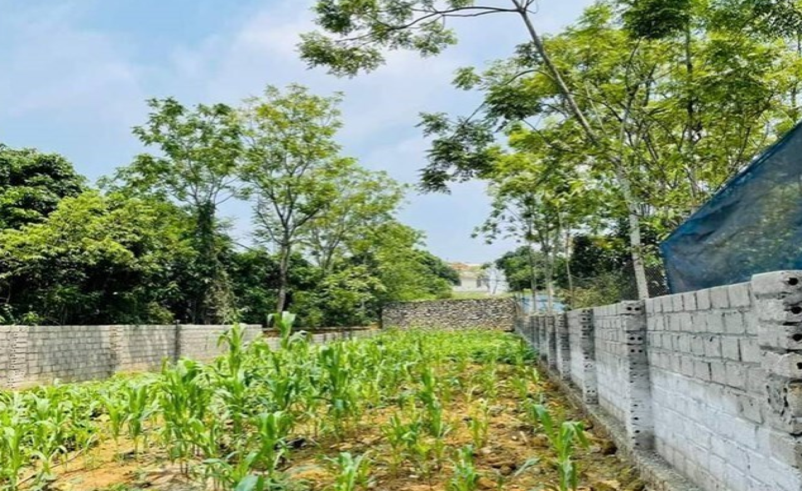 Phân khúc đất nền gây bất ngờ trên thị trường bất động sản