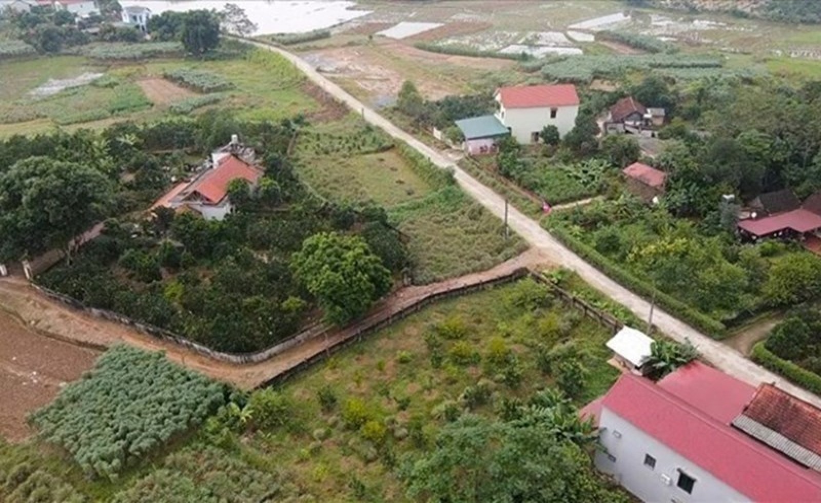 Phí chuyển đổi đất trồng cây lâu năm sang đất ở năm 2026