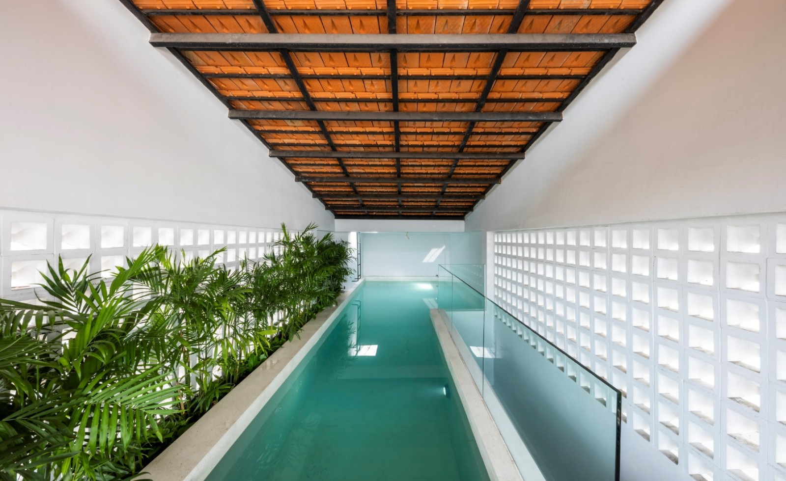 “Resort phố” và giấc mơ nghỉ dưỡng trong căn nhà chiều ngang 5m