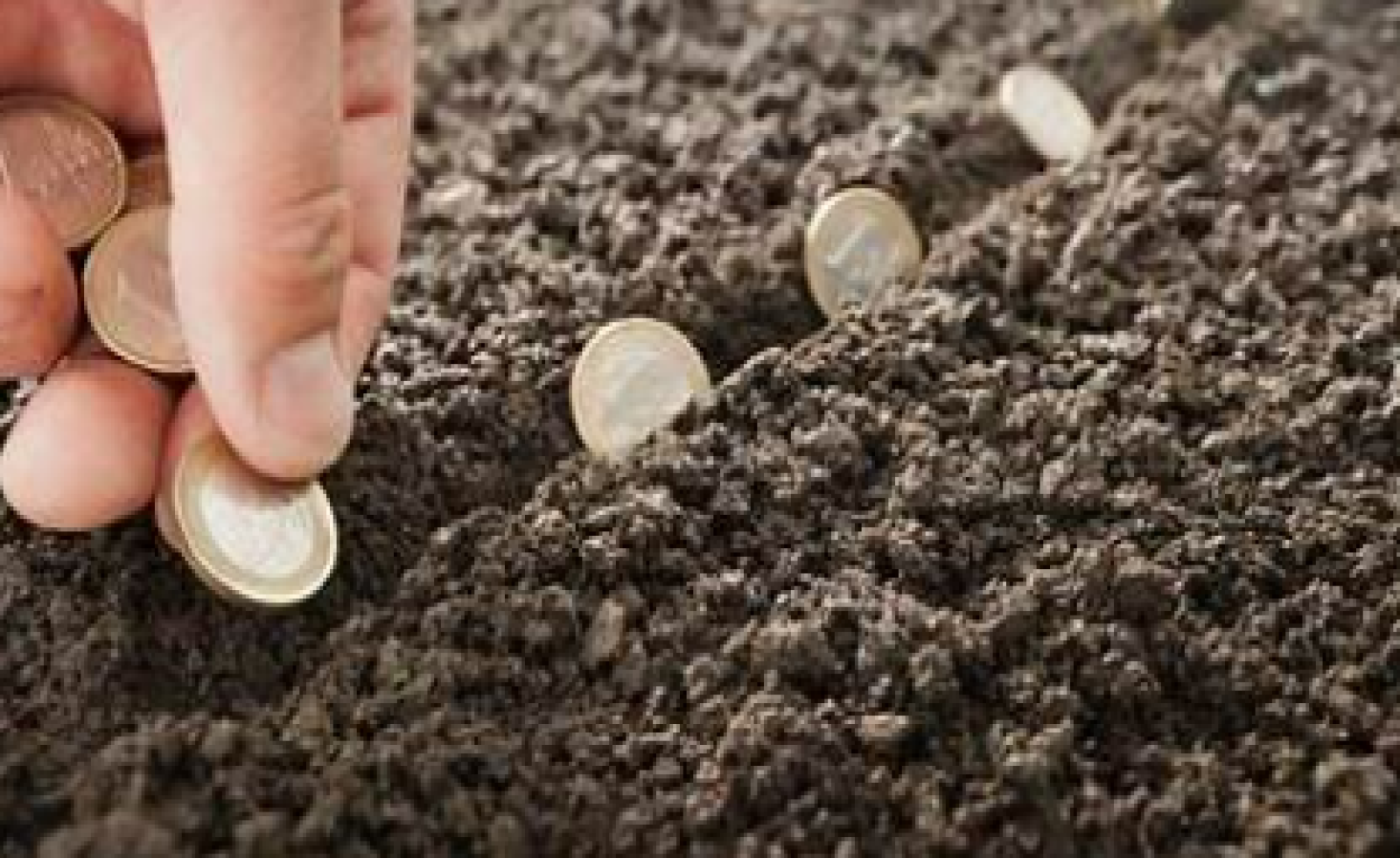 Thủ tục thanh toán, xóa nợ tiền sử dụng đất đối với hộ gia đình, cá nhân được ghi nợ?