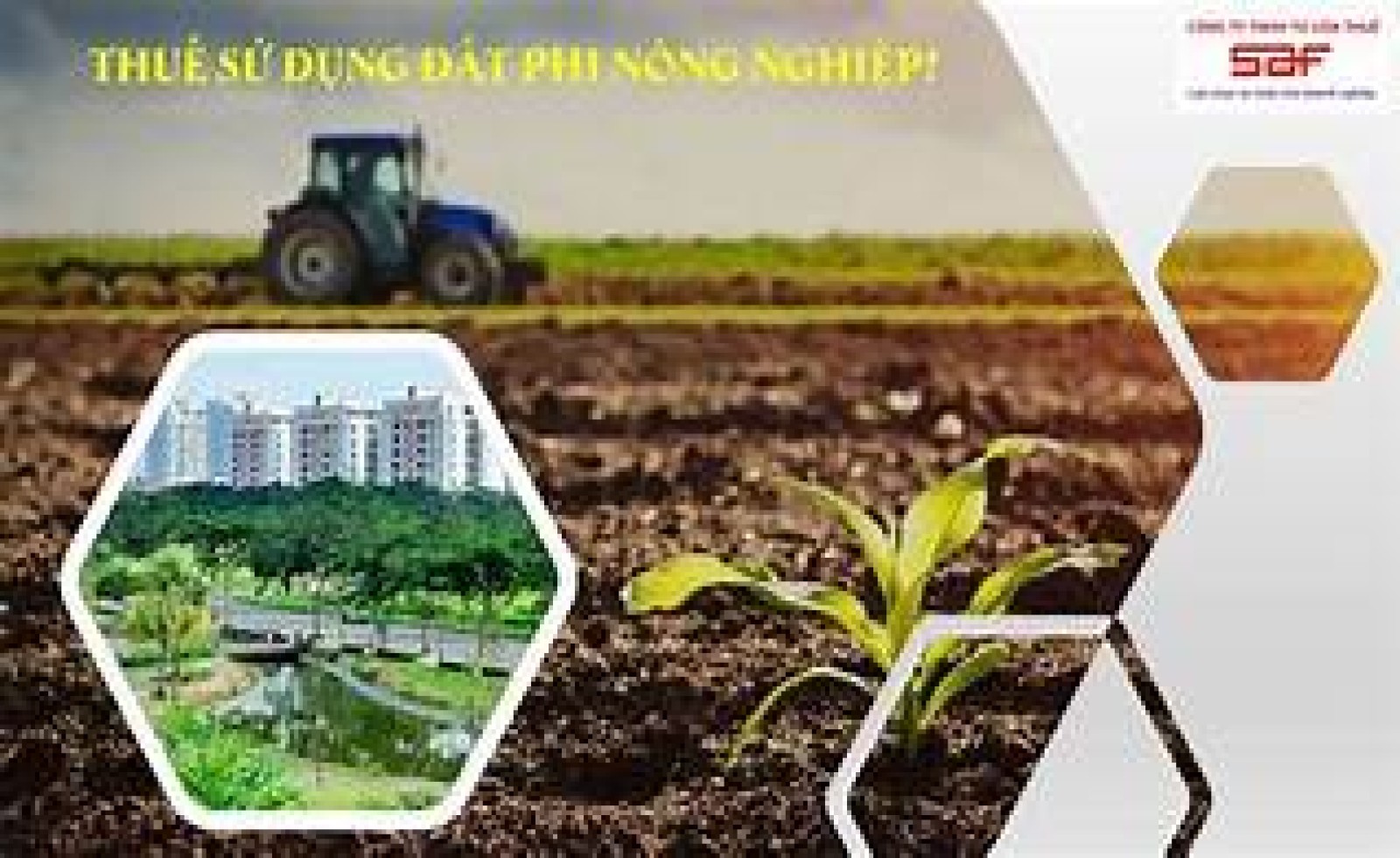 Thuế đất được hiểu như nào? Đối tượng nào phải nộp thuế đất năm 2026?
