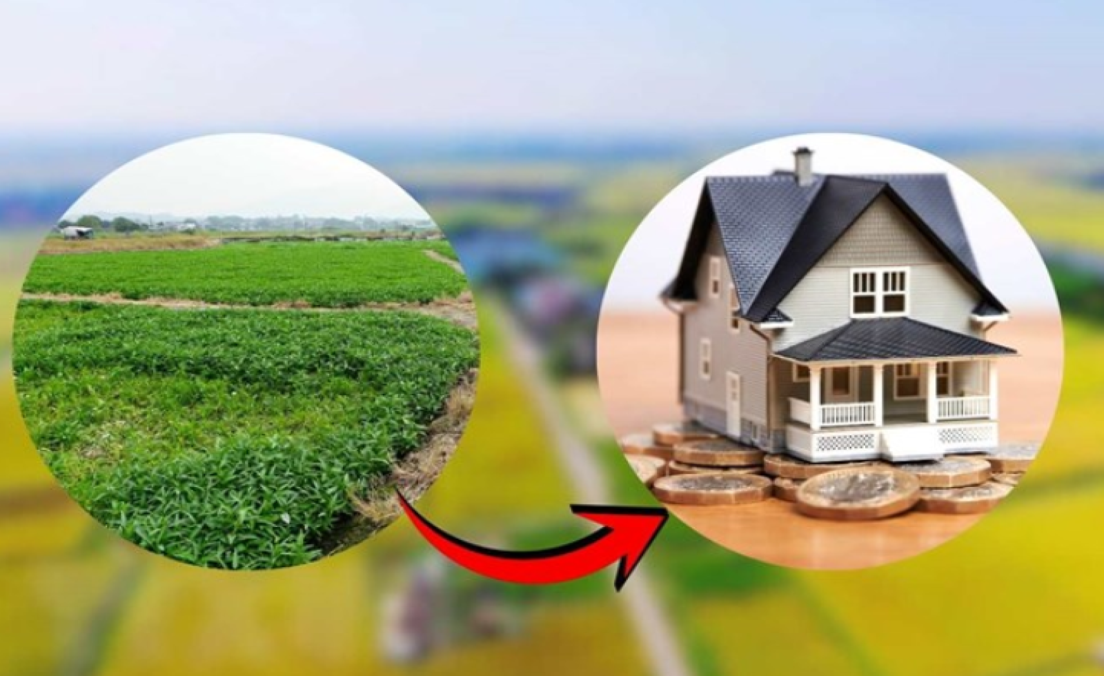 Tiền sử dụng đất lên thổ cư nộp trước năm 2026 được phép tính lại