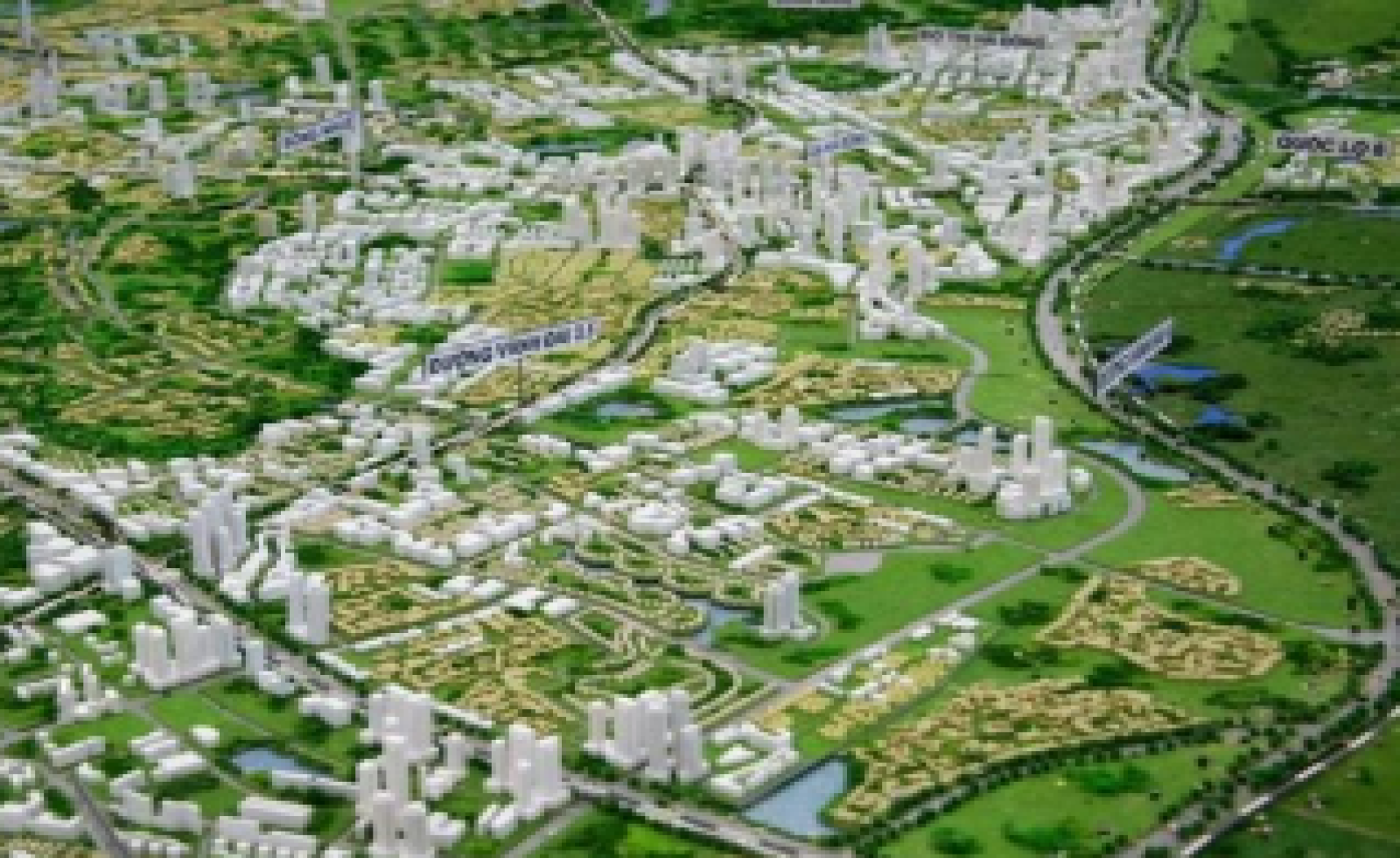 Tổ chức về quản lý theo nội dung quy hoạch đô thị và nông thôn được quy định như thế nào?