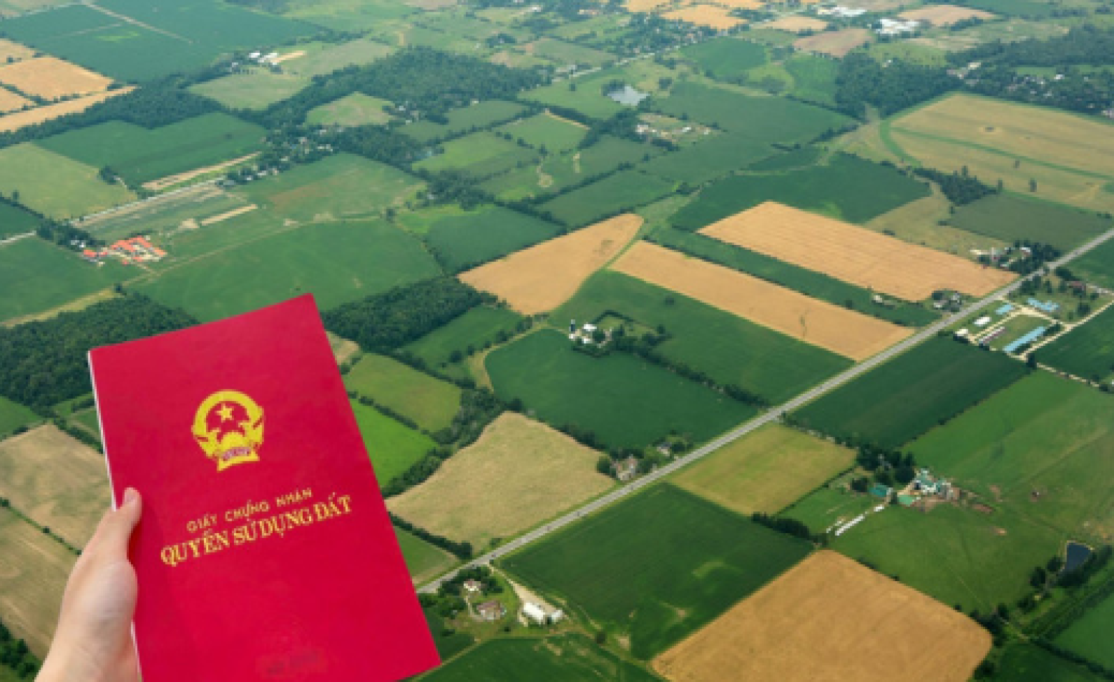 Vì sao nhiều người lùng mua nhà đất không sổ đỏ?