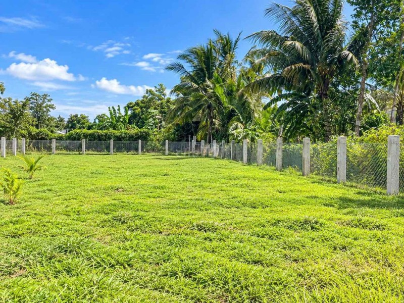 🔥 300M² ĐẤT SỔ RIÊNG – 100M² ĐẤT Ở ĐÔ THỊ – GIÁ CHỈ 690 TRIỆU