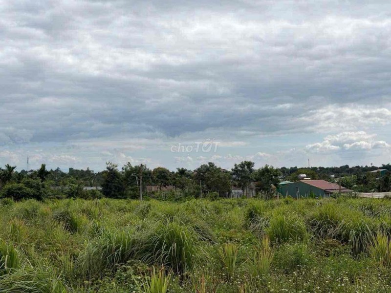 500m2 hẻm vành đai đường 10/3