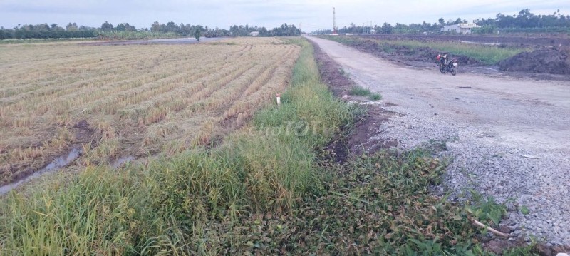 Bán 5 công đất.công tầm lớn