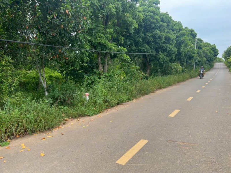Bán 5.500m2 đất làm homestay, khu nghỉ dưỡng gần Bái Đính, Thung Ui