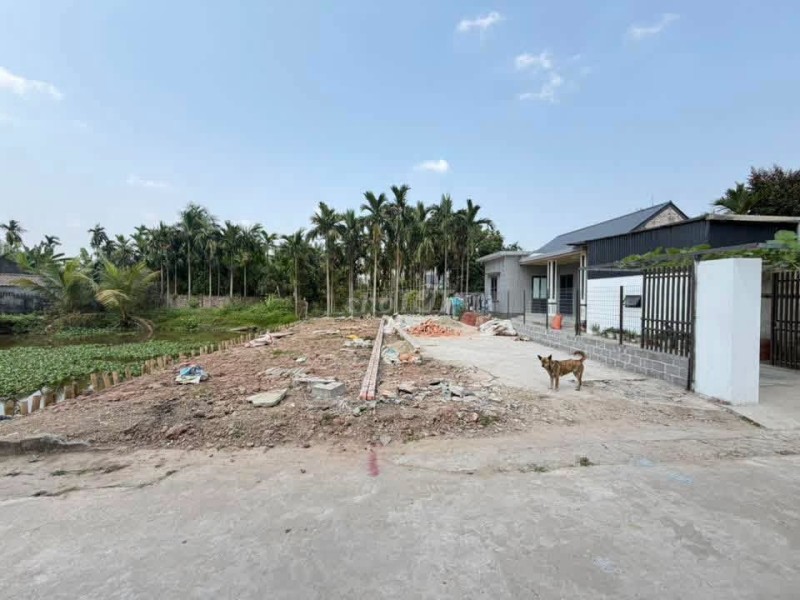 Bán đất 114m2 gần trường Tiểu học Kiến Thiết, Tiên Lãng
