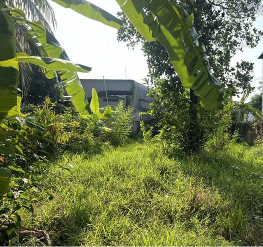 BÁN ĐẤT 291M2 FULL THỔ CƯ GIÁ CHỈ 3TY900 - LONG PHÚ, AN GIANG