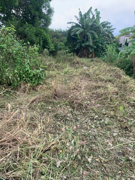 Bán đất Mặt Tiền Bàu Cạn - Long Phước - Đồng Nai, 589,2m², 300m² đất ở, đối Diện KCN Bàu Cạn - Tân Hiệp