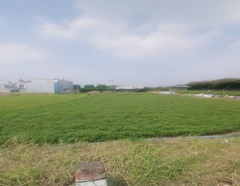 Bán đất mặt tiền Lê Thị Mai, Xuân Thới Sơn, Hóc Môn, 3803m2, ngang 42m, giá rẻ