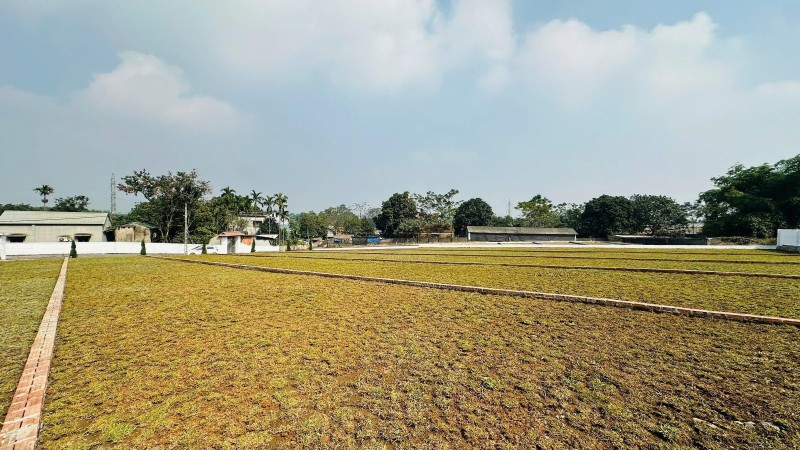 Bán đất nền LÕI KCN NHUẬN TRẠCH và Trung Tâm NGHỈ DƯỠNG tại Cư Yên, Lương Sơn, Hoà Bình.