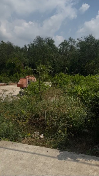 Bán đất Rừng Sác, Cần Giờ, full thổ cư 117m, nở hậu 5.6m đường ô tô, KDC hiện hữu, giá mềm