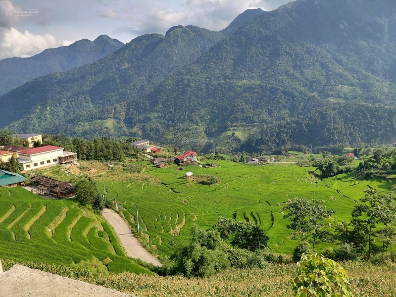 Bán đất tại Tả Van - Sapa, 3000 m2 có sẵn 1200 m2 thổ cư, mặt tiền 40m chỉ 16.5 tỷ