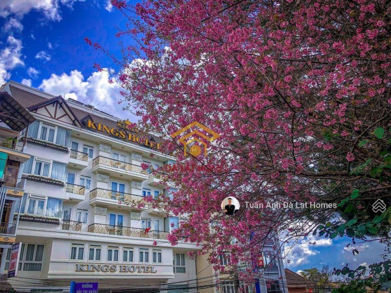 Bán khách sạn 4 sao mặt tiền Bùi Thị Xuân Đà Lạt tài sản truyền đời thương hiệu mạnh sở hữu tư nhân
