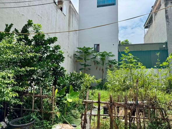 🔥 BÁN LÔ ĐẤT KHU BẮC TRẦN HƯNG ĐẠO – HÒA BÌNH 🔥