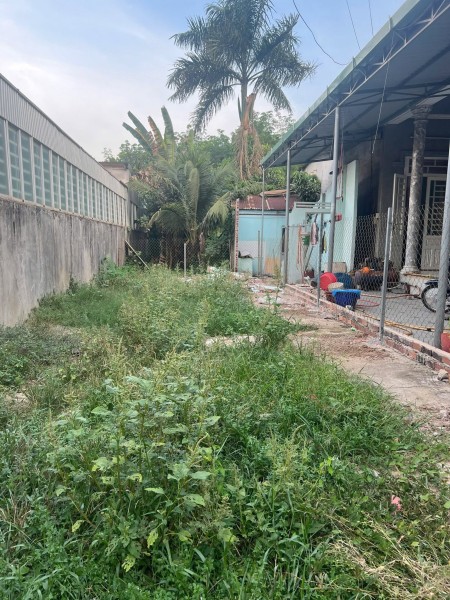 👉 Bán Lô Đất Thuộc KHU PHỐ 9 - PHƯỜNG LONG THÀNH - TP ĐỒNG NAI