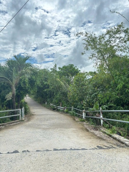 Bán Nhà riêng 1928.8m2 có sẵn 258 m2 thổ cư giá 1.95 tỷ tại Xã Hậu Thạnh Đông Huyện Tân Thạnh Long An