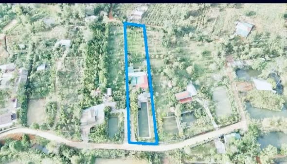 🍀 🏡BÁN NHANH NHÀ VƯỜN 3,5 SÀO – 2 MẶT TIỀN ĐƯỜNG