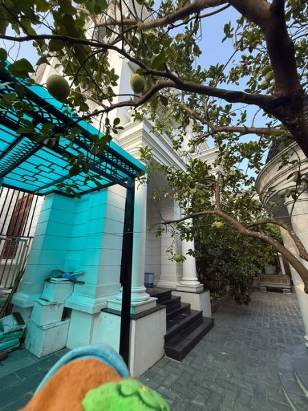 🌳 CHÀO BÁN BIỆT THỰ NHÀ VƯỜN – QUẢNG TRƯỜNG 1, NINH BÌNH