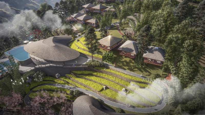 Chính chủ bán 5.200m² đất săn mây Ma Cha Va, Y Tý - Mặt đường 50m - Giá 9 tỷ