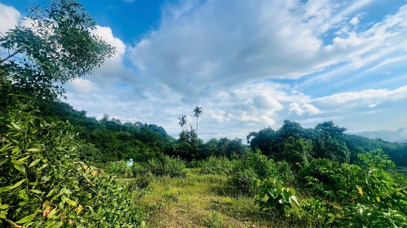 CHÍNH CHỦ BÁN LÔ ĐẤT CỰC ĐẸP – VIEW TOÀN CẢNH NÚI ĐÁ, CÁNH ĐỒNG 🏞 📍 Cách Hà Nội chỉ 70km – Giao thông thuận tiện