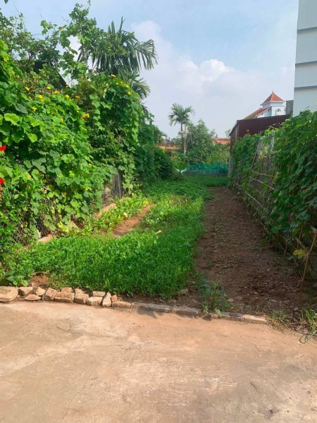 Chính chủ bán lô đất thôn Quán Trạch, Văn Giang Hưng Yên, vị trí đẹp giá chỉ 4.05 tỷ