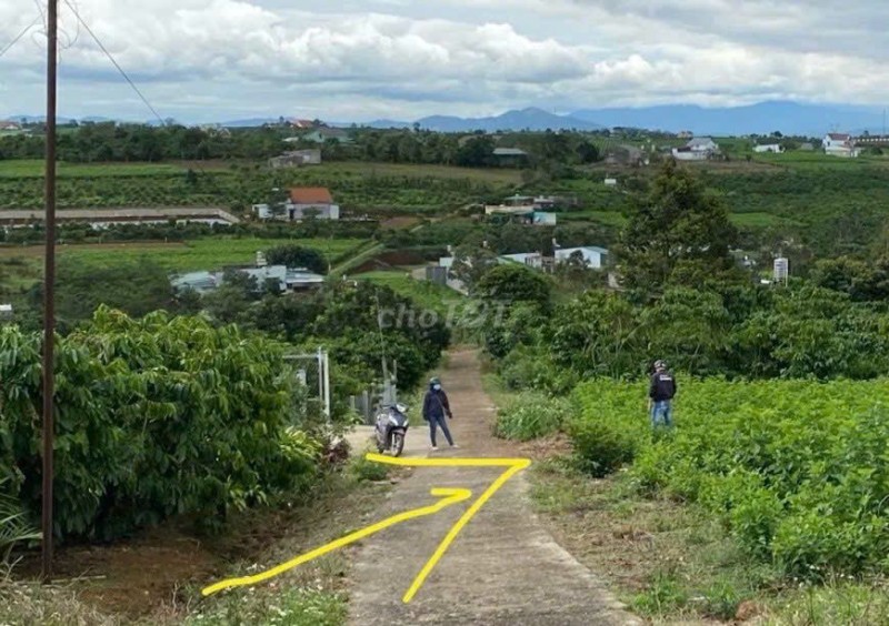 CHÍNH CHỦ CẦN BÁN LÔ ĐẤT TRIỀN ĐỒI VIEW ĐẸP