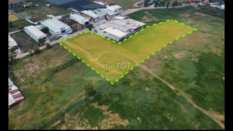 Cho thuê 1000 m2, 2000 m2 (tùy nhu cầu) để trồng rau. Giá 4 tr/1000 m2
