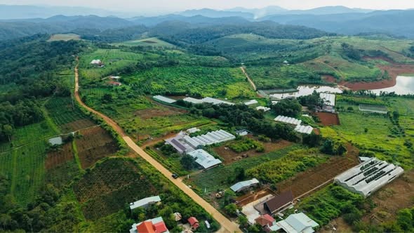 ✅ CHUYỂN NHƯỢNG LÔ ĐẤT 2000m, 400 thổ ở Măng Đen.