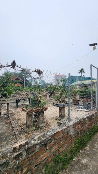 ĐẤT ĐẸP ,XUÂN QUAN-PHỤNG CÔNG, HÀNG XÓM ECOPARK, NGAY CẠNH BÁT TRÀNG, NHỈNH 4 ĐỒNG.