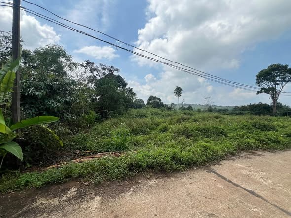 🔥 ĐẤT HẺM 258 TÔN ĐỨC THẮNG – BIỂN HỒ 🔥