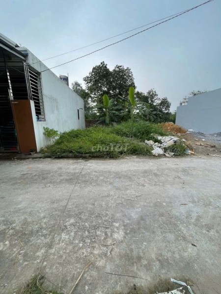 ĐẤT P TÂN LẬP DT82M,(MT6M) 1,350TR THÁI NGUYÊN.