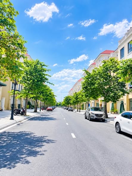 Bán căn san hô 102m2 trục đường kinh doanh 20m. Ocean park 2.