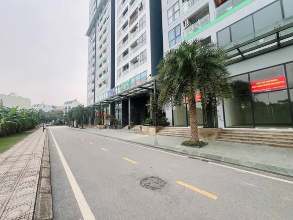 🏡 TRUST CITY PHỤNG CÔNG – 2N 1WC, 54,5M² – GIÁ 2,X TỶ